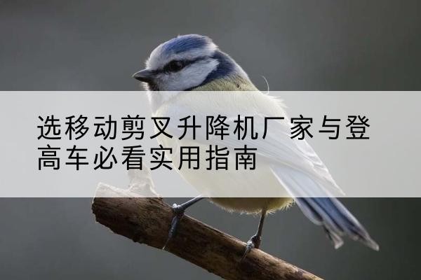 湘潭电动升降机厂家-选移动剪叉升降机厂家与登高车必看实用指南