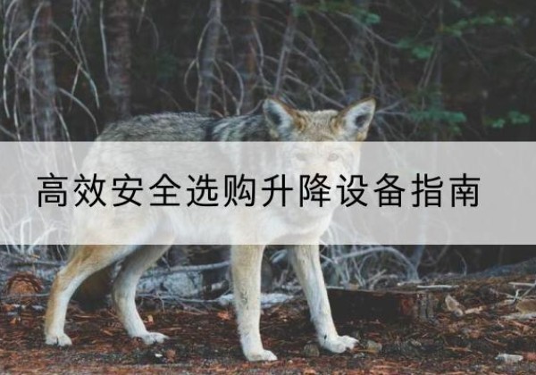 湘潭升降货梯厂家推荐-*安全选购升降设备指南